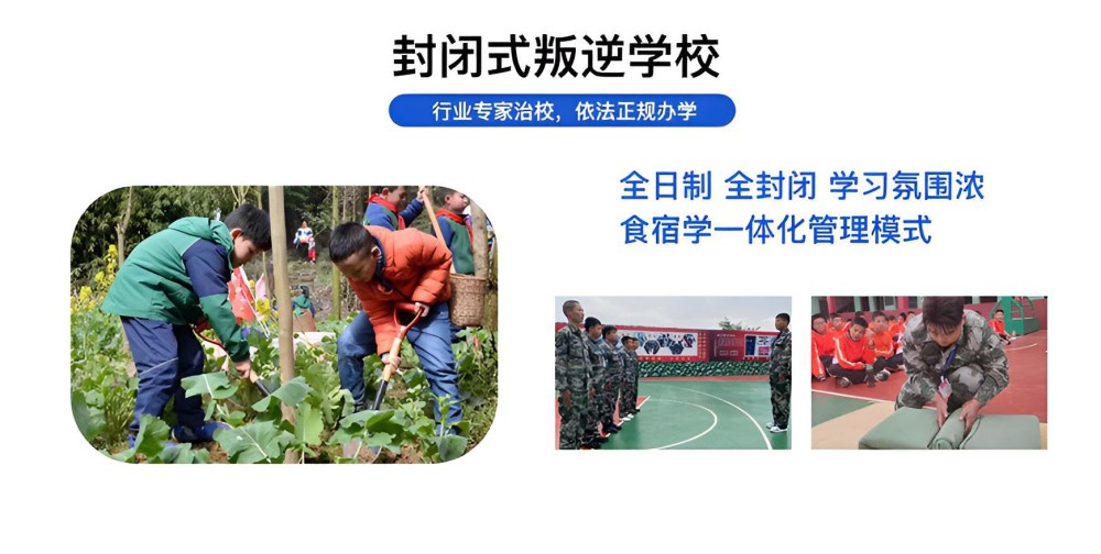 钦州十大国内改变叛逆的素质教育学校品牌榜