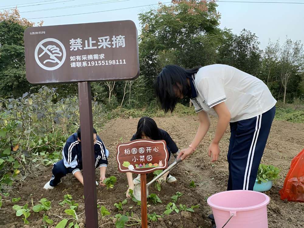 江夏区领先的管教叛逆青少年学校品牌汇总