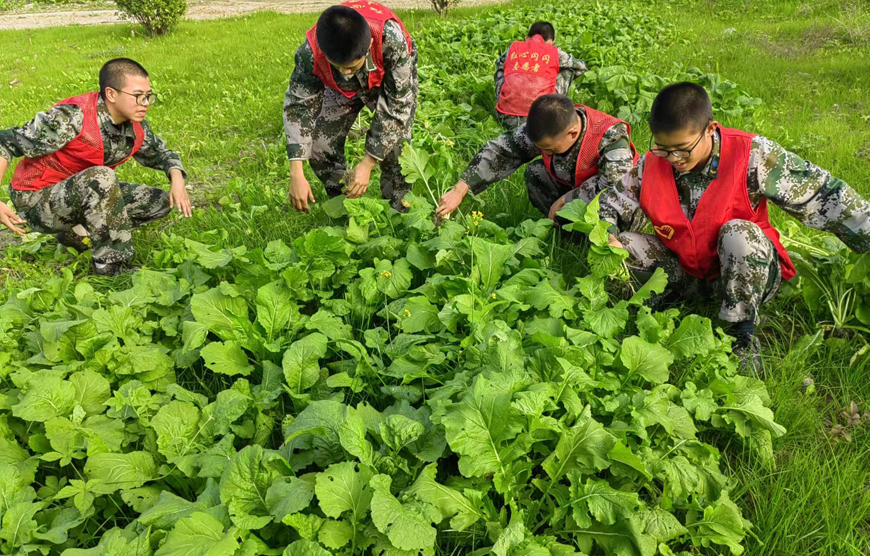 金昌叛逆学校教育品牌榜